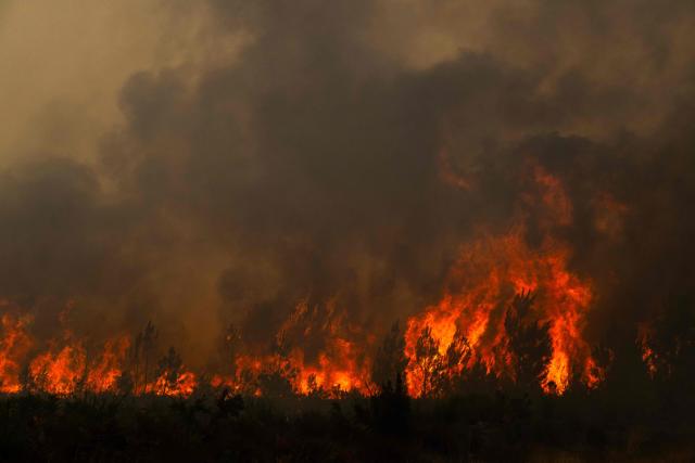 This photography shows a burning forest during a wildfire near the town of Lege-Cap-Ferret, in southwestern France on July 25, 2026. Fires are raging on July 25, 2026 in France and Spain, with nearly 260,000 people evacuated near the big French city of Bordeaux and in the Madrid region, a metropolis confronted with the "worst" fire in its history. Scientists have long warned that climate change caused by human use of fossil fuels will make periods of drought more intense and longer-lasting, creating the ideal conditions for wildfires. (Photo by JULIEN DE ROSA / AFP)