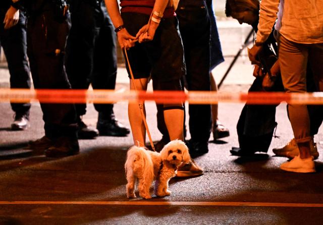 An attendee of the CSD with his dog and police stand near the scene where one person was killed and around 16 injured after a car struck people on the outskirts of the Christopher Street Day (CSD) parade in Berlin, on July 25, 2026. The attack forced organisers to cut short one of Europe's largest Pride events." A vehicle entered the Tiergarten park and hit several people" just before 10:00 pm (2000 GMT) on July 25, 2026, police posted on social media, adding that they were hunting for the occupants of the car. (Photo by RALF HIRSCHBERGER / AFP)