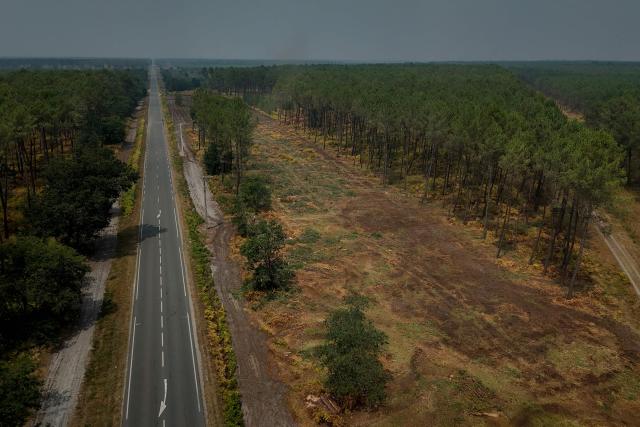 This aerial view shows a fire line, a break in vegetation, near Marcheprime, west of Bordeaux, on July 27, 2026, during wildfires in the Gironde region, southwestern France. Firefighters battled massive blazes tearing through forests across France on July 27, as authorities warned of a fresh heatwave set to engulf the scorched French wine-growing region around the major city of Bordeaux. (Photo by Philippe LOPEZ / AFP)