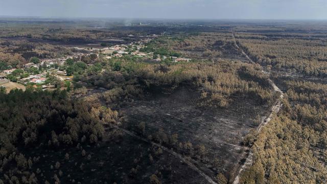 This aerial view shows a burnt area in the town of Le Porge, following a wildfire in the Gironde Department, south-western France, on July 27, 2026. After several days of uninterrupted spread of the massive wildfire on the outskirts of Bordeaux, the situation remained generally stable overnight from July 26 to 27, but authorities are concerned about the arrival of a heat wave. (Photo by Ed JONES / AFP)