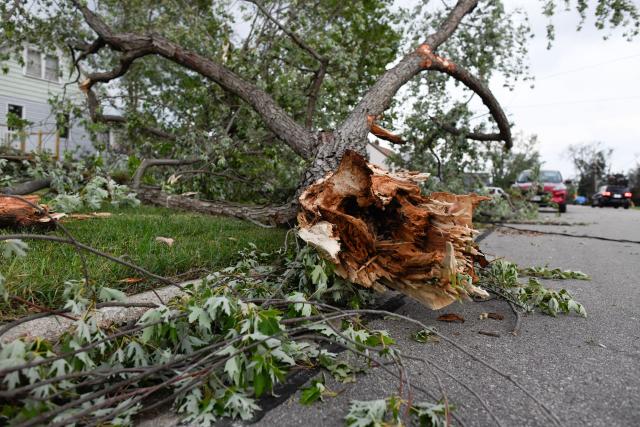 An downed tree is seen after a tornado ripped through parts of Wisconsin in Menasha, Wisconsin, on July 27, 2026. (Photo by Octavio JONES / AFP)