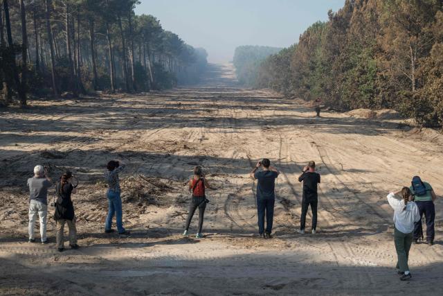 Journalists look at a fire line, a break in vegetation, during a media tour with French firefighters near Lège-Cap-Ferret, southwestern France, on July 28, 2026. Over the past six days, the wildfire near Bordeaux has ravaged 42,000 hectares (103,000 acres), forced 220,000 people to flee and destroyed 240 houses. Firefighters said on July 28, 2026 the fire had not expanded overnight as they managed to tackle several flareups. (Photo by Ed JONES / AFP)