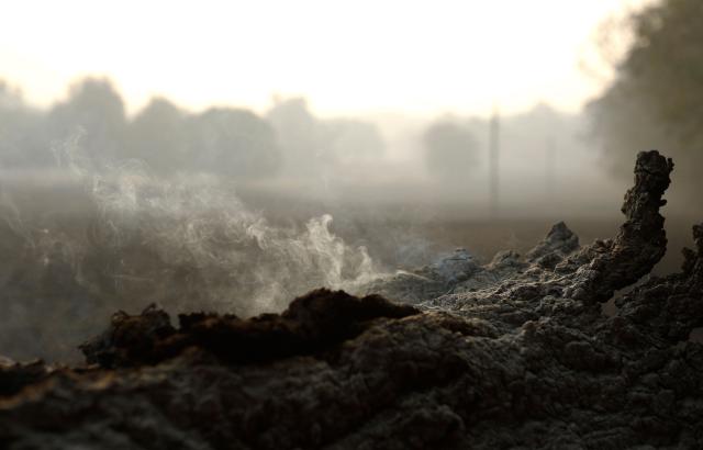 Smoke rises from a charred tree trunk following a wildfire in La Adrada, 95 kilometres west of Madrid, on July 28, 2026. Firefighters in Spain made progress after a "positive night" against wildfires raging west of Madrid that have forced the evacuation of tens of thousands of people, Interior Minister Fernando Grande-Marlaska said today. Spain's government declared a national emergency last week over some of the worst wildfires in the country's history raging in fronts across the Madrid region, Avila province, Toledo and eastern Valencia. (Photo by Oscar DEL POZO / AFP)