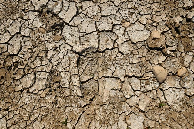 A footprint is pictured at the partially dried-up river bed of the Rhine in Duesseldorf, western Germany, on July 28, 2026, following exceptionally hot weather. (Photo by Ina FASSBENDER / AFP)