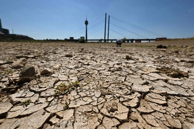 The partially dried-up river bed of the Rhine is pictured in Duesseldorf, western Germany, on July 28, 2026, following exceptionally hot weather. (Photo by Ina FASSBENDER / AFP)