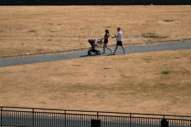 A couple walks at the partially dried-up river bed of the Rhine in Duesseldorf, western Germany, on July 28, 2026, following exceptionally hot weather. (Photo by Ina FASSBENDER / AFP)