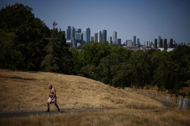 A man walks through dried out and yellow grass in Greenwich Park, south-east London on July 29, 2026. Just over half of England has been declared in drought after "record-low rain and exceptionally high temperatures", the UK government said on July 29. (Photo by Henry NICHOLLS / AFP)