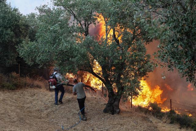 People try to extinguish a fire in the town of Plomari on the Greek island of Lesbos on July 29, 2026. (Photo by Manolis Lagoutaris / AFP)