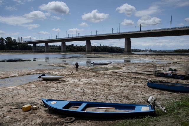 A fisherman tries to move his boat, blocked by algae on the bottom of the Danube river in front of the Calafat-Vidin bridge, connecting Bulgaria and Romania near the village Antimovo, southeastern Bulgaria, on July 22, 2026. At the Romanian town of Corabia on the banks of the Danube river, some boats are stranded in shallow water full of algae in the touristic port, which lies deserted as ships can no longer dock due to sandbars (Photo by Nikolay DOYCHINOV / AFP)