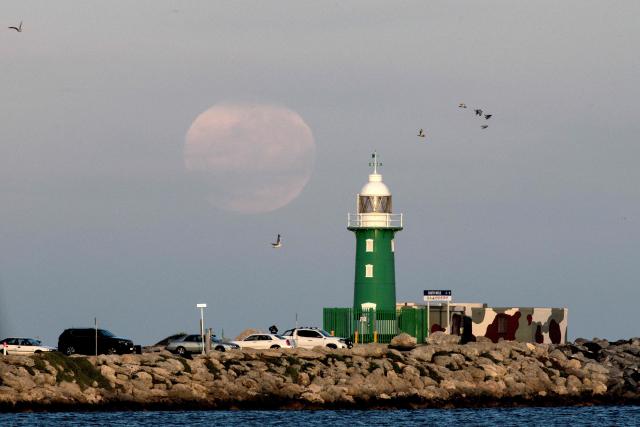 Birds fly past a lighthouse as the moon sets over the port of Fremantle, in Western Australia on July 30, 2026. The highly contagious H5 bird flu virus has started spreading locally among wild birds in Australia, the nation's chief veterinary officer said. (Photo by Antony DICKSON / AFP)