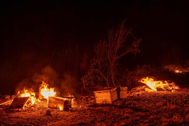 This photograph shows burning bee hives during a wildfire at Seydikemer district in Mugla on July 29, 2026. Turkish firefighters on July 29, 2026, battled wildfires near the country's southern tourist beaches that have forced the evacuation of hundreds of people, authorities said. Hundreds of firefighters went up against the biggest fire in Mugla province, with more than 20 planes and helicopters bombing water on the flames, the agriculture ministry said. (Photo by Murat Kocabas / AFP)