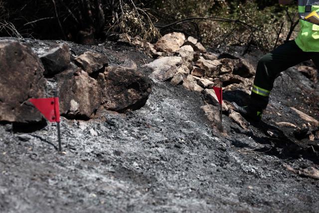 This photograph shows a red marker flags during an investigation conducted by the Recherche des Causes et Circonstances d'Incendie - RCCI unit (Fire Causes and Circumstances Investigation) at the site of a suspected reignition point of a wildfire in Ponteves, south-eastern France on July 29, 2026. The RCCI comprises criminal investigation technicians from the French Gendarmerie, wildfire specialists from the fire service, and members of the National Forestry Office (ONF). Its role is to determine the cause of wildfires, including whether they were started deliberately or by natural causes. More than 600 people were evacuated on July 29, 2026, after a new fire broke out in the Var, south-east of Brignoles, spreading across about 100 hectares less than 24 hours after the Gros Bessillon wildfire, which burned 4,500 hectares over eight days, was brought under control. (Photo by Thibaud MORITZ / AFP)