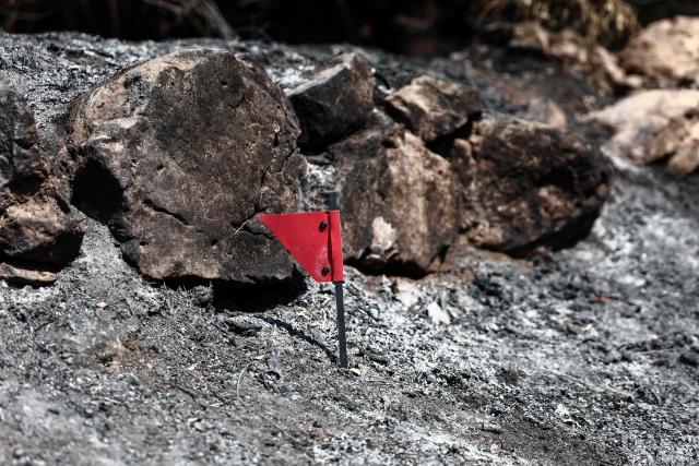 This photograph shows a red marker flag during an investigation conducted by the Recherche des Causes et Circonstances d'Incendie - RCCI unit (Fire Causes and Circumstances Investigation) at the site of a suspected reignition point of a wildfire in Ponteves, south-eastern France on July 29, 2026. The RCCI comprises criminal investigation technicians from the French Gendarmerie, wildfire specialists from the fire service, and members of the National Forestry Office (ONF). Its role is to determine the cause of wildfires, including whether they were started deliberately or by natural causes. More than 600 people were evacuated on July 29, 2026, after a new fire broke out in the Var, south-east of Brignoles, spreading across about 100 hectares less than 24 hours after the Gros Bessillon wildfire, which burned 4,500 hectares over eight days, was brought under control. (Photo by Thibaud MORITZ / AFP)