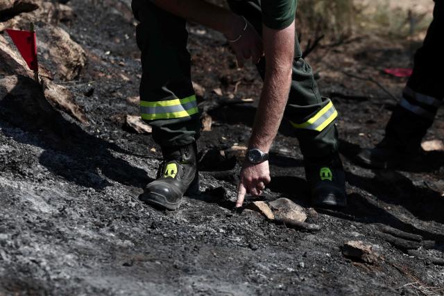 An agent from the ONF (National Forestry Office) points out to a potential piece of evidence during an investigation conducted by the Recherche des Causes et Circonstances d'Incendie - RCCI unit (Fire Causes and Circumstances Investigation) at the site of a suspected reignition point of a wildfire in Ponteves, south-eastern France on July 29, 2026. The RCCI comprises criminal investigation technicians from the French Gendarmerie, wildfire specialists from the fire service, and members of the National Forestry Office (ONF). Its role is to determine the cause of wildfires, including whether they were started deliberately or by natural causes. More than 600 people were evacuated on July 29, 2026, after a new fire broke out in the Var, south-east of Brignoles, spreading across about 100 hectares less than 24 hours after the Gros Bessillon wildfire, which burned 4,500 hectares over eight days, was brought under control. (Photo by Thibaud MORITZ / AFP)