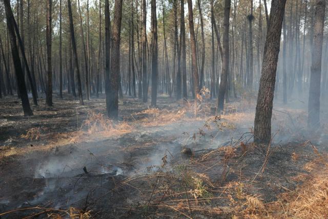 This photograph shows smoke rising from smoldering patches in Lanton, west of Bordeaux on July 30, 2026, as a wildfire has been ravaging the forest north of the Arcachon Basin (Gironde) since July 22. After eight gruelling days battling a massive wildfire that has ravaged 42,000 hectares in Gironde (south-west France), the firefighters can see the light at the end of the tunnel, but the flare-ups observed in recent days are keeping the emergency services on tenterhooks. (Photo by ALAIN JOCARD / AFP)