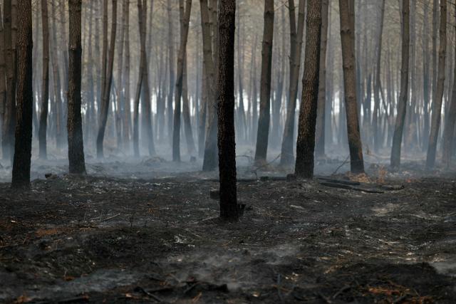 This photograph shows smoke rising from smoldering patches in Lanton, west of Bordeaux on July 30, 2026, as a wildfire has been ravaging the forest north of the Arcachon Basin (Gironde) since July 22. After eight gruelling days battling a massive wildfire that has ravaged 42,000 hectares in Gironde (south-west France), the firefighters can see the light at the end of the tunnel, but the flare-ups observed in recent days are keeping the emergency services on tenterhooks. (Photo by Alain JOCARD / AFP)