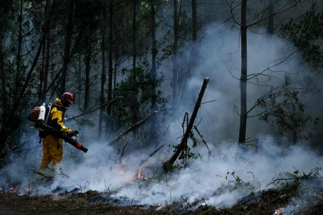 A firefighter uses a backpack blower to clear vegetation and create a firebreak during a controlled fire operation in a forest in Le Porge, north of the Arcachon Basin, on July 30, 2026, during wildfires in the Gironde region, southwestern France. In France, the Gironde region reported a second calm night and said the massive fire west of France's wine-making capital of Bordeaux remained stable despite a spike in temperatures on July 29 as the fourth heatwave of the summer roasted the area. (Photo by Philippe Lopez / AFP)