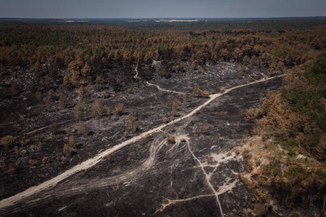An aerial view shows a burned area following a wildfire in the Fontainebleau Forest, in Noisy-sur-Йcole, in the Оle-de-France region of Paris, on July 30, 2026. Against an autumnal backdrop, where the greyish hues of ash mingle with the orange tones of burnt leaves, the sound of chainsaws echoes: on the scorched patches of the Fontainebleau Forest, which was ravaged by a fire in mid-July, priority is being given to ‘securing’ the area and felling trees that are destined to fall. (Photo by Simon WOHLFAHRT / AFP)