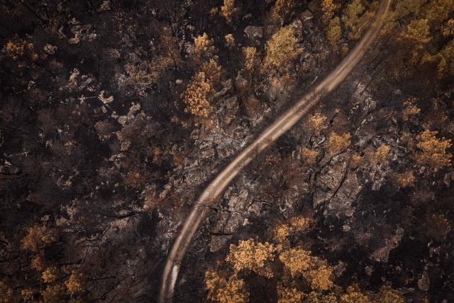 An aerial view shows a burned area following a wildfire in the Fontainebleau Forest, in Noisy-sur-Йcole, in the Оle-de-France region of Paris, on July 30, 2026. Against an autumnal backdrop, where the greyish hues of ash mingle with the orange tones of burnt leaves, the sound of chainsaws echoes: on the scorched patches of the Fontainebleau Forest, which was ravaged by a fire in mid-July, priority is being given to ‘securing’ the area and felling trees that are destined to fall. (Photo by Simon WOHLFAHRT / AFP)