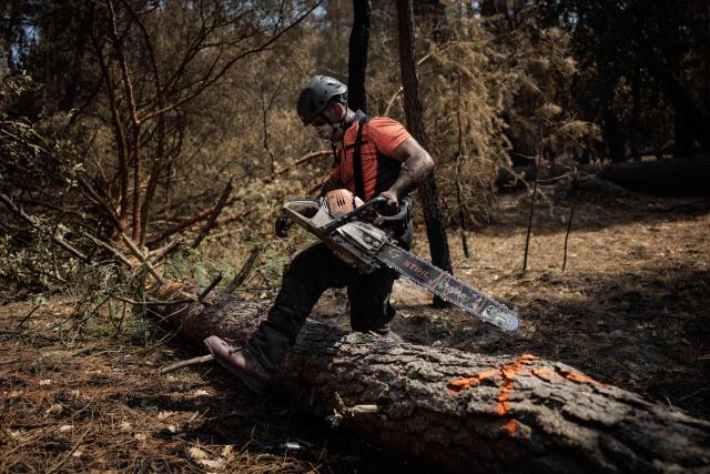 A logger walks over a fallen, burned tree while carrying a chainsaw following a fire in the Fontainebleau Forest, in Noisy-sur-Йcole, Оle-de-France, on July 30, 2026. Against an autumnal backdrop, where the greyish hues of ash mingle with the orange tones of burnt leaves, the sound of chainsaws echoes: on the scorched patches of the Fontainebleau Forest, which was ravaged by a fire in mid-July, priority is being given to ‘securing’ the area and felling trees that are destined to fall. (Photo by Simon WOHLFAHRT / AFP)