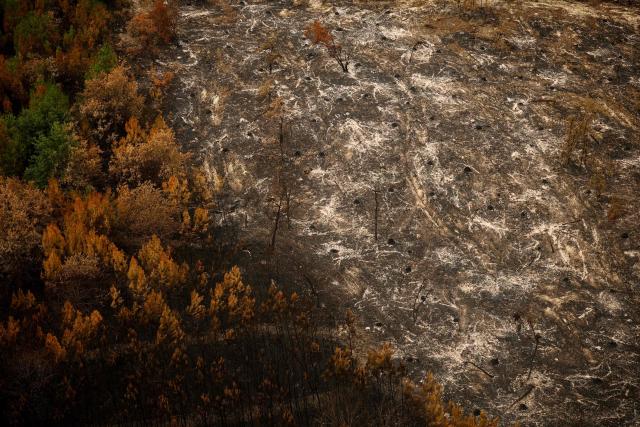 This aerial photograph taken from a French Civil Security rescue coordination helicopter shows a burnt-down wooden area in Le Porge, south-western France on July 31, 2026, as a wildfire has been ravaging the forest north of the Arcachon Basin (Gironde) since July 22. (Photo by Sarah Meyssonnier / POOL / AFP)