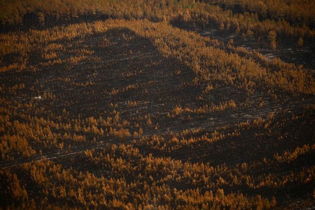 This aerial photograph taken from a French Civil Security rescue coordination helicopter shows a partially burnt wooden area in Le Porge, south-western France on July 31, 2026, as a wildfire has been ravaging the forest north of the Arcachon Basin (Gironde) since July 22. (Photo by Sarah Meyssonnier / POOL / AFP)