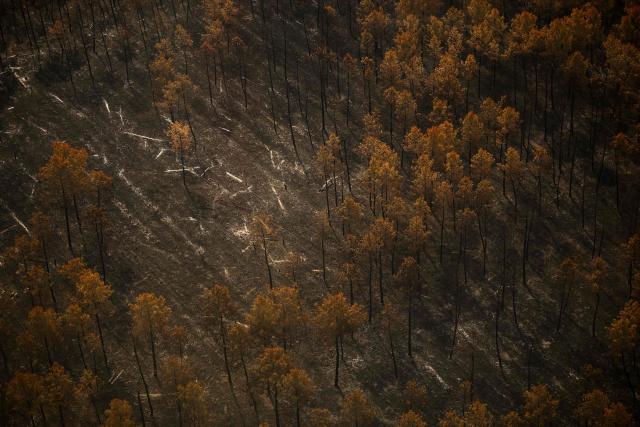 This aerial photograph taken from a French Civil Security rescue coordination helicopter shows a partially burnt wooden area in Le Porge, south-western France on July 31, 2026, as a wildfire has been ravaging the forest north of the Arcachon Basin (Gironde) since July 22. (Photo by Sarah Meyssonnier / POOL / AFP)