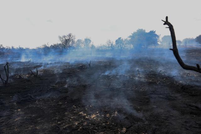 Smouldering burnt-out heath land is pictured, following a wildfire, at Dunwich Heath in eastern England on July 31, 2026. Firefighters in eastern England were "making good progress" Thursday battling a "dynamic" wildfire which has engulfed swathes of heathland and prompted the evacuation of dozens of residents and visitors, local officials said. (Photo by Humphrey Nemar / POOL / AFP)