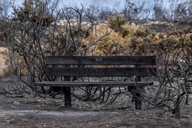 A scorched burnt-out bench is pictured, following a wildfire, at Dunwich Heath in eastern England on July 31, 2026. Firefighters in eastern England were "making good progress" Thursday battling a "dynamic" wildfire which has engulfed swathes of heathland and prompted the evacuation of dozens of residents and visitors, local officials said. (Photo by Humphrey Nemar / POOL / AFP)