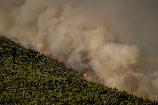 This photograph shows wildfire flames and heavy smoke rising from a wildfire in the area of Porto Germeno, some 70 kilometres (45 miles) northwest of Athens in the region of Viotia, on August 2, 2026. Hundreds of firefighters in Greece battle to save a popular coastal resort northwest of Athens as violent winds continued to lash the country, hampering operations. Hit hard by the climate crisis like the rest of the Mediterranean region, the country is plagued by wildfires every summer due to high temperatures, frequent heatwaves, and drought. (Photo by Angelos TZORTZINIS / AFP)