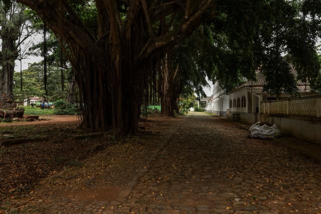 General view of a street at the Roça Sundy, near Santo Antonio, in Príncipe Island in São Tomé and Príncipe, on  August 1, 2026. Located on Príncipe island, Roça Sundy is famous both for its cocoa production and the historical site where Arthur Eddington conducted observations proving Einstein's theory of general relativity. It is one of six roças recognized as UNESCO World Heritage sites. The Roças are historic agricultural plantations in São Tomé and Príncipe that were established by the Portuguese in the 19th and 20th centuries for coffee and cocoa production. Operating as self-sufficient, hierarchical complexes, they included processing factories, housing (sanzalas), hospitals, and railways. (Photo by Daniel BELOUMOU OLOMO / AFP)