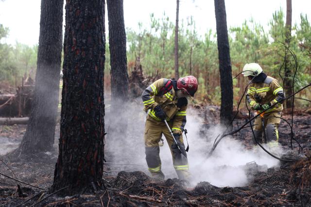 Ukrainian firefighters aiding in the fight against France's ongoing wildfires work to put out smouldering vegetation near the village of Le Temple, southwestern France, on August 3, 2026. A massive fire in the near the Arcachon Bay in the Gironde department started on July 22, forcing 220 people to flee their homes to safety. The fire went on to incinerate some 42,000 hectares (104,000 acres) of pine forest along the Atlantic coastline, destroying some 240 homes in its wake. (Photo by ROMAIN PERROCHEAU / AFP)