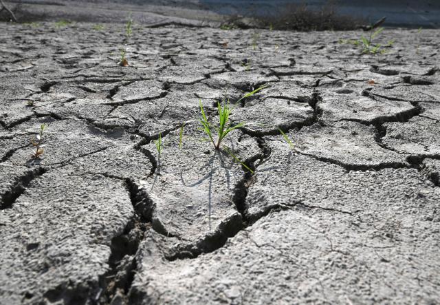 TOPSHOT - A general view shows the dried up bed of a reservoir in Miryang on August 3, 2026, as a scorching heat wave continues to grip South Korea. South Korea's weather agency issued a "severe heatwave warning" for Seoul on August 3, the first such advisory since introducing the designation this year to alert the public about extreme temperatures. (Photo by Jung Yeon-je / AFP)