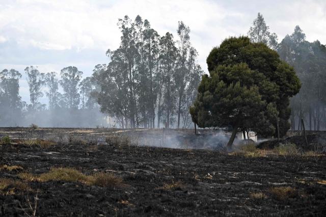 View of a wildfire amid high temperatures in Sibate, near Bogota, Colombia, on August 3, 2026. (Photo by Raul ARBOLEDA / AFP)