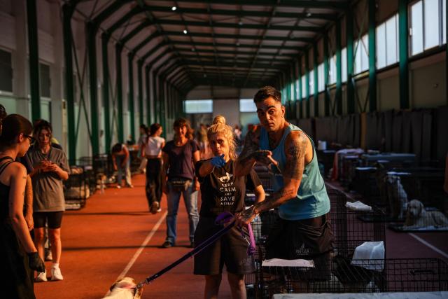 Volunteers and rescuers care for animals saved from the wildfires in the ViliaMegara area, at temporary shelters set up The Megara Stadium, west of Athens on August 3, 2026, where some 110 animals have already found refuge. Wildfires that have raged for four days west of Athens remained a threat, with flames flaring up again despite easing winds and the deployment of firefighting aircraft. Firefighters reported a slight improvement in conditions earlier in the day, but authorities later warned of fresh flare-ups on one of the main fire fronts near Megara, about 30 kilometres (19 miles) west of the capital. (Photo by Aris Oikonomou / AFP)