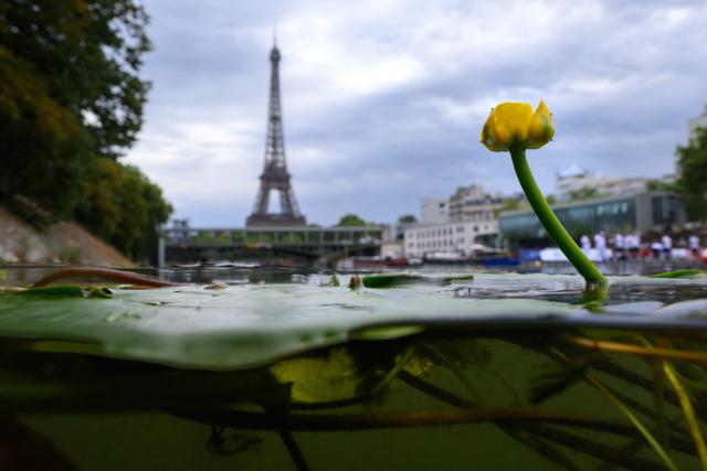 That photograph shows a yellow water-lily, an aquatic plant, on the Seine River with the Eiffel Tower in the background in Paris, on August 4, 2026. (Photo by SEBASTIEN BOZON / AFP)