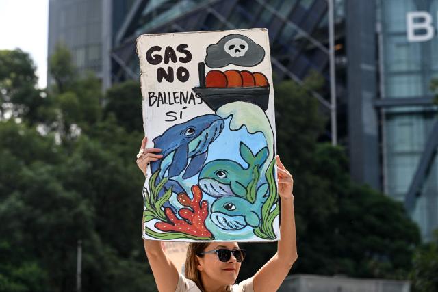 An environmental activist holds a sign reading "Gas No! Whales Yes!" during a demonstration against the Saguaro Energía LNG and AMIGO LNG projects, which would involve the construction of natural gas liquefaction plants, in Mexico City on August 4, 2026. According to activists, the projects would harm the biodiversity of Mexico's Gulf of California, particularly its whale populations. (Photo by Yuri CORTEZ / AFP)