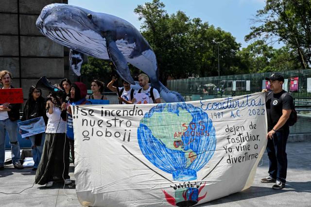 Environmental activists demonstrate against the Saguaro Energía LNG and AMIGO LNG projects, which would involve the construction of natural gas liquefaction plants, in Mexico City on August 4, 2026. According to activists, the projects would harm the biodiversity of Mexico's Gulf of California, particularly its whale populations. (Photo by Yuri CORTEZ / AFP)