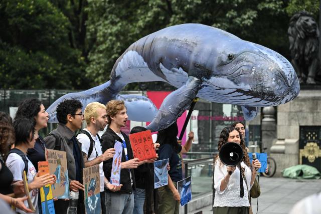 Environmental activists demonstrate against the Saguaro Energía LNG and AMIGO LNG projects, which would involve the construction of natural gas liquefaction plants, in Mexico City on August 4, 2026. According to activists, the projects would harm the biodiversity of Mexico's Gulf of California, particularly its whale populations. (Photo by Yuri CORTEZ / AFP)