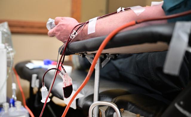 A donor gives blood during a blood drive amid an urgent need for donors at Providence St. Jude Medical Center in Fullerton, California, on August 4, 2026. The American Red Cross has declared its second-ever national blood supply crisis after donations fell to a four-year summer low, prompting a national emergency over declining blood supplies. (Photo by Frederic J. BROWN / AFP)