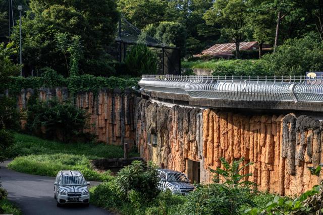 A general view shows closed lion enclosure area at The Tama Zoological Park in Hino city of Tokyo Metropolis on August 4, 2026. Three lions at a Tokyo zoo have died from suspected heatstroke and others are under treatment, a spokeswoman said on Tuesday, with the big cats struggling with high humidity. (Photo by Philip FONG / AFP)