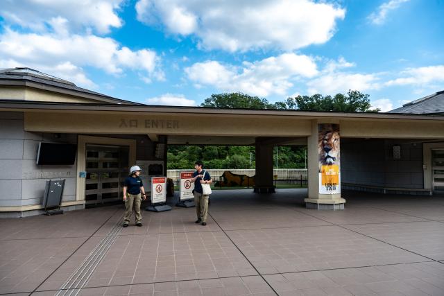 Masato Nakamura (R), the education and PR manager, walks in front of the closed lion bus entrance of the lion enclosure area at Tama Zoological Park in Hino city of Tokyo Metropolis on August 4, 2026. Three lions at a Tokyo zoo have died from suspected heatstroke and others are under treatment, a spokeswoman said on Tuesday, with the big cats struggling with high humidity. (Photo by Philip FONG / AFP)