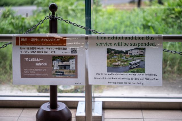 Notices of lion bus service being suspended are seen at the closed lion bus entrance of the lion enclosure area at Tama Zoological Park in Hino city of Tokyo Metropolis on August 4, 2026. Three lions at a Tokyo zoo have died from suspected heatstroke and others are under treatment, a spokeswoman said on Tuesday, with the big cats struggling with high humidity. (Photo by Philip FONG / AFP)