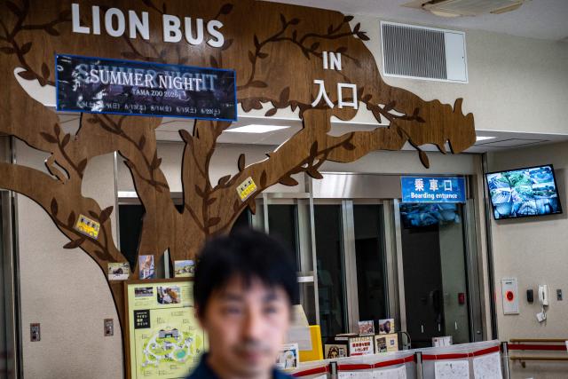Masato Nakamura, the education and PR manager, speaks during an interview with AFP in front of the closed lion bus entrance of the lion enclosure area at Tama Zoological Park in Hino city of Tokyo Metropolis on August 4, 2026. Three lions at a Tokyo zoo have died from suspected heatstroke and others are under treatment, a spokeswoman said on Tuesday, with the big cats struggling with high humidity. (Photo by Philip FONG / AFP)