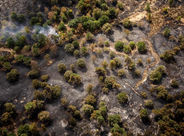 This aerial photograph shows a view of the Boschhuizerbergen nature reserve near Venray in Limburg, where the fire department is battling a large wildfire in Oostrum on August 5, 2026. (Photo by Sem van der Wal / various sources / AFP) / Netherlands OUT