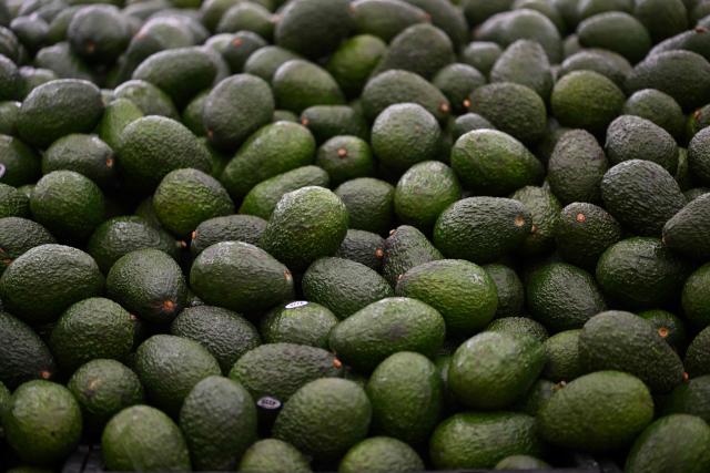 (FILES) This view shows avocados produced in Mexico displayed for sale at a Walmart store in Mexico City on October 27, 2025. The United States suspended imports from Mexico's largest avocado producer over security concerns, an industry group announced on August 5, 2026. The violence-wracked state of Michoacan is the largest exporter of the fruit to the United States. The state government said the suspension is a "preventive measure" following arrests of criminal leaders known for extorting money from the regional avocado industry. (Photo by Yuri CORTEZ / AFP)