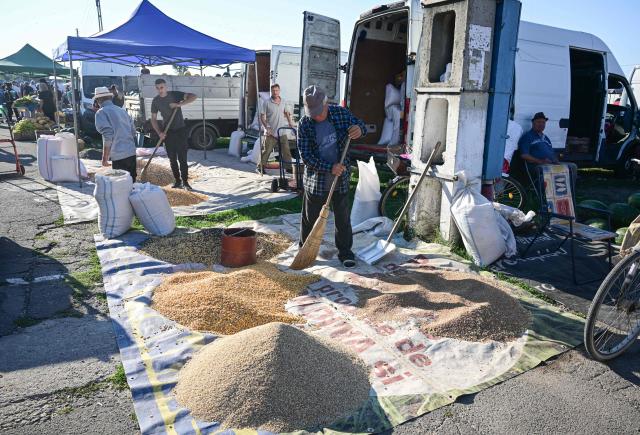 A grain seller sweeps apart small bulks of merchandise spread on a plane on the ground at the open-air market in the city of Calarasi, Romania, on July 26, 2026. As the eastern European country has struggled for months with the highest inflation in the European Union, almost 11 percent in May, several buyers complained of rising prices which forced them to make difficult decisions about what to cut. (Photo by Daniel MIHAILESCU / AFP)