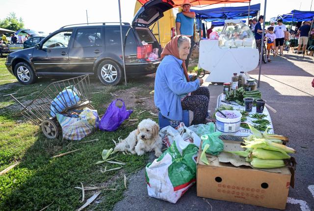 An old woman sells vegetables and corn as a dog lies near her at the open-air market in the city of Calarasi, Romania, on July 26, 2026. As the eastern European country has struggled for months with the highest inflation in the European Union, almost 11 percent in May, several buyers complained of rising prices which forced them to make difficult decisions about what to cut. (Photo by Daniel MIHAILESCU / AFP)