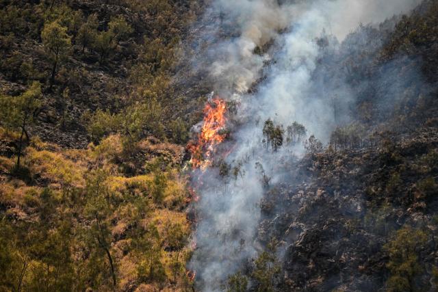 A wildfire burns in Bromo Tengger Semeru National Park near Mount Bromo in Probolinggo, East Java province on August 6, 2026. (Photo by JUNI KRISWANTO / AFP)