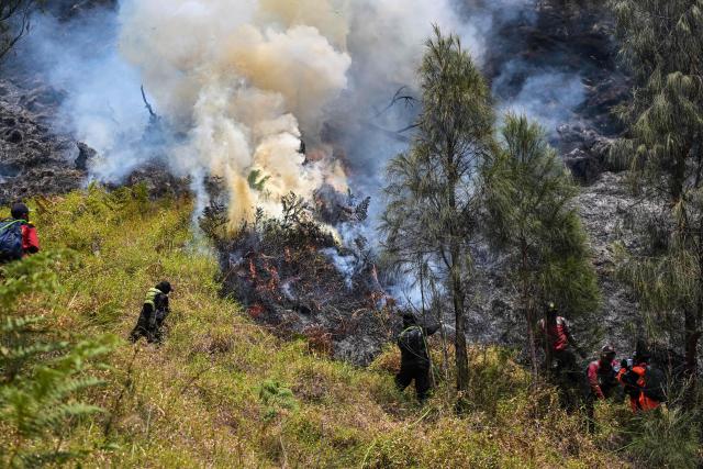 Firefighters battle a wildfire in the Bromo Tengger Semeru National Park near Mount Bromo in Probolinggo, East Java province on August 6, 2026. (Photo by JUNI KRISWANTO / AFP)